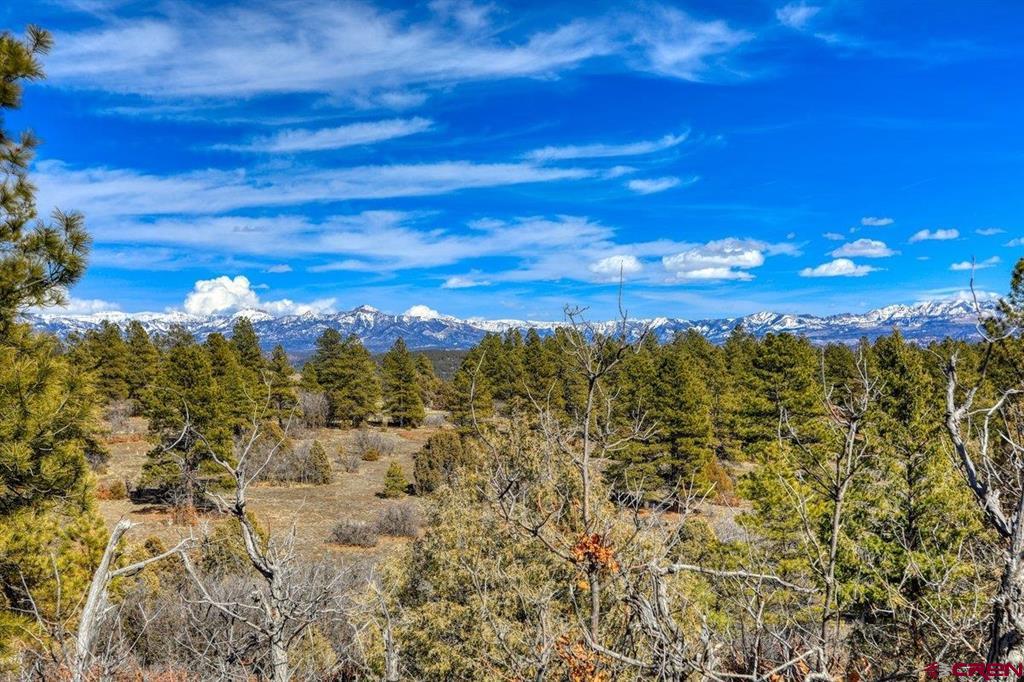 829 Buttress Avenue Pagosa Springs CO 81147