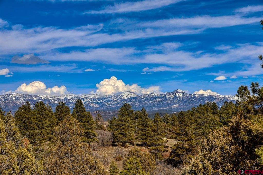 829 Buttress Avenue Pagosa Springs CO 81147