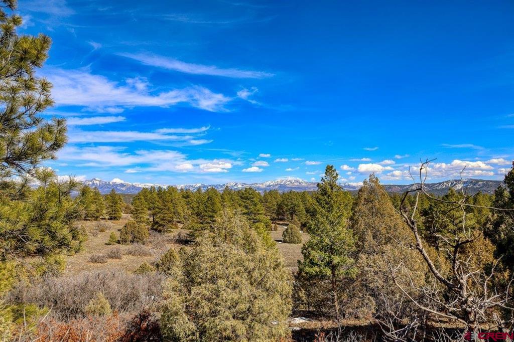 829 Buttress Avenue Pagosa Springs CO 81147