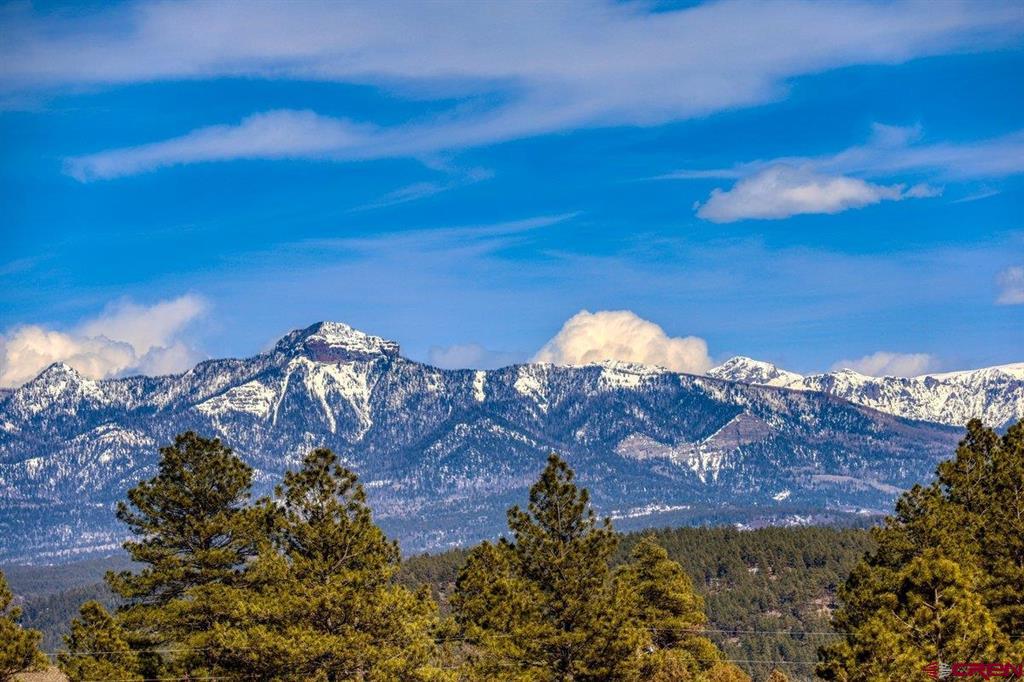 829 Buttress Avenue Pagosa Springs CO 81147
