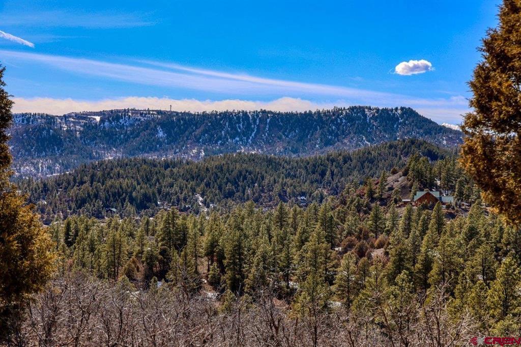 829 Buttress Avenue Pagosa Springs CO 81147