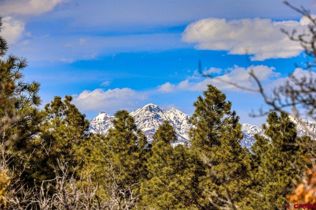829 Buttress Avenue Pagosa Springs CO 81147