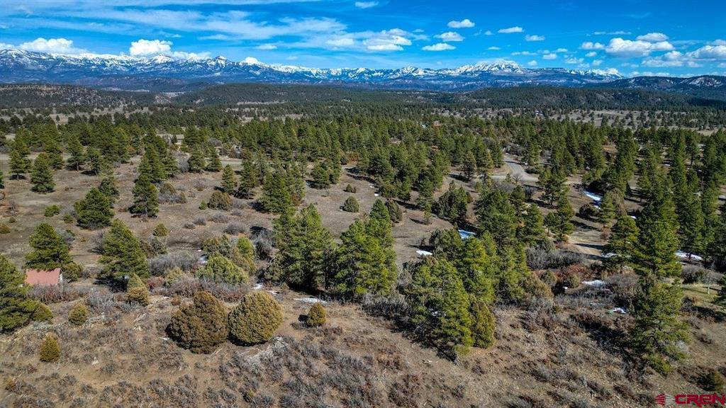 829 Buttress Avenue Pagosa Springs CO 81147