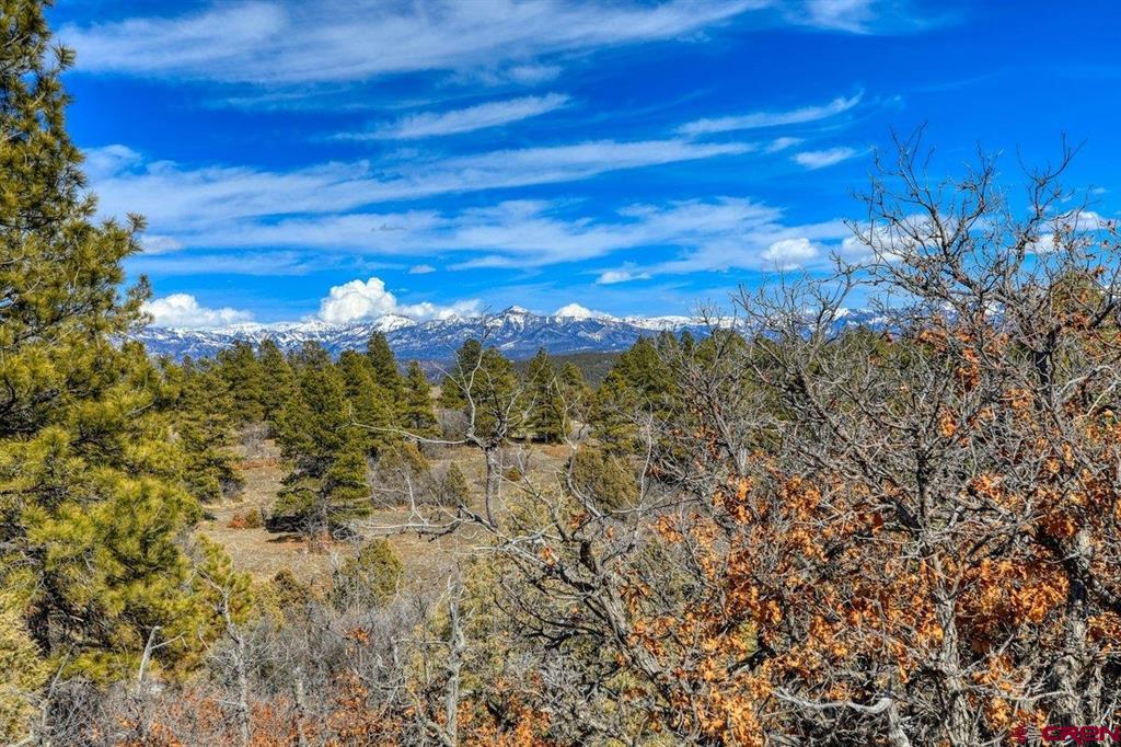 829 Buttress Avenue Pagosa Springs CO 81147