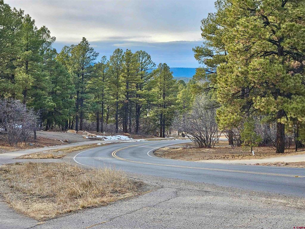 458 Antelope Avenue Pagosa Springs CO 81147