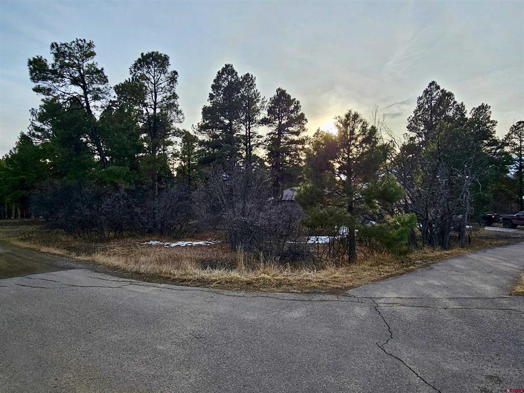 458 Antelope Avenue Pagosa Springs CO 81147