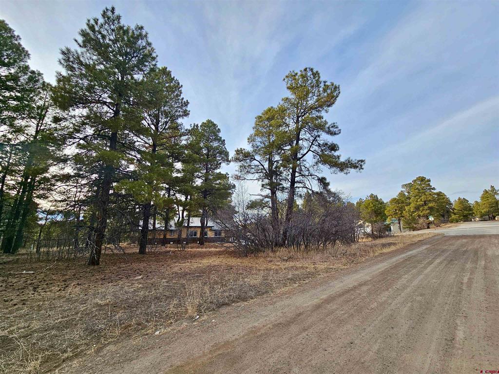 458 Antelope Avenue Pagosa Springs CO 81147