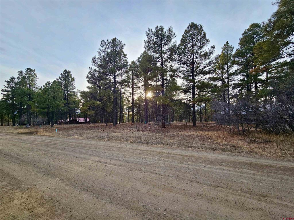 458 Antelope Avenue Pagosa Springs CO 81147