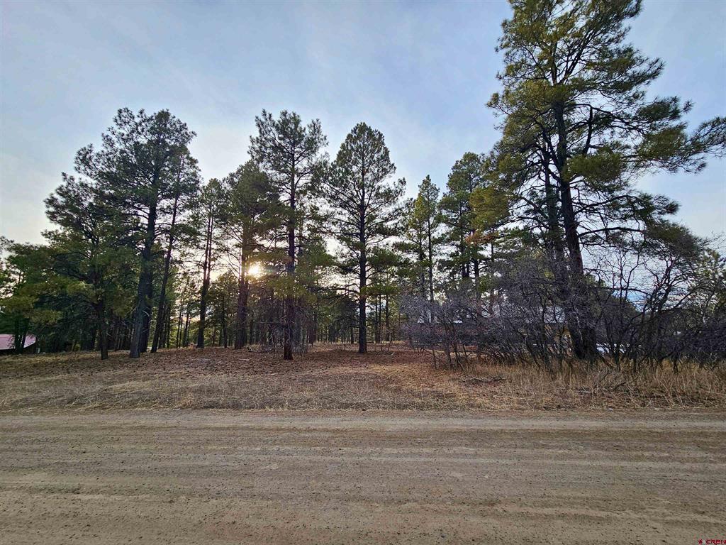 458 Antelope Avenue Pagosa Springs CO 81147