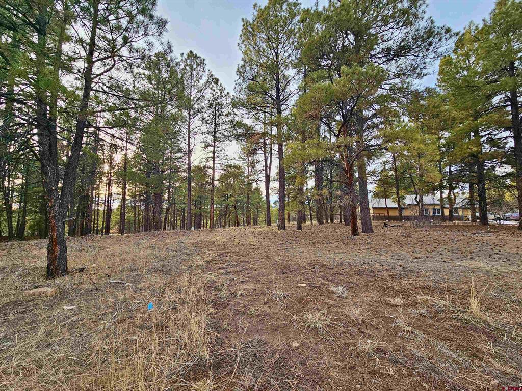 458 Antelope Avenue Pagosa Springs CO 81147