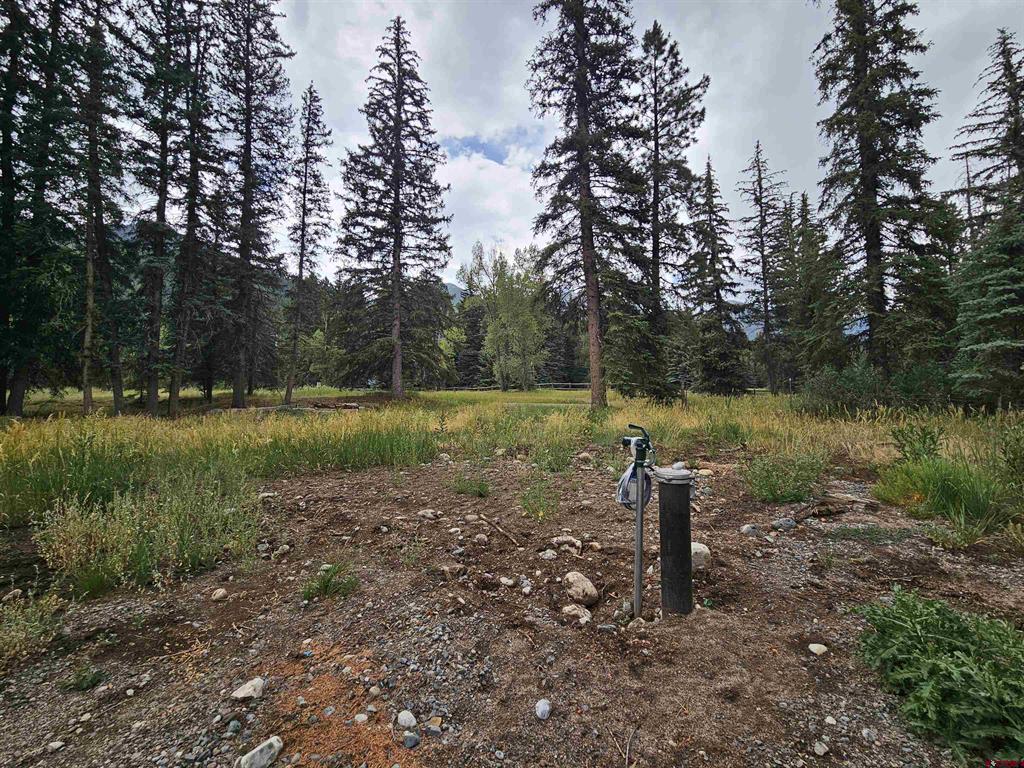 1229 W Vallecito Creek Road Vallecito Lake/bayfield CO 81122