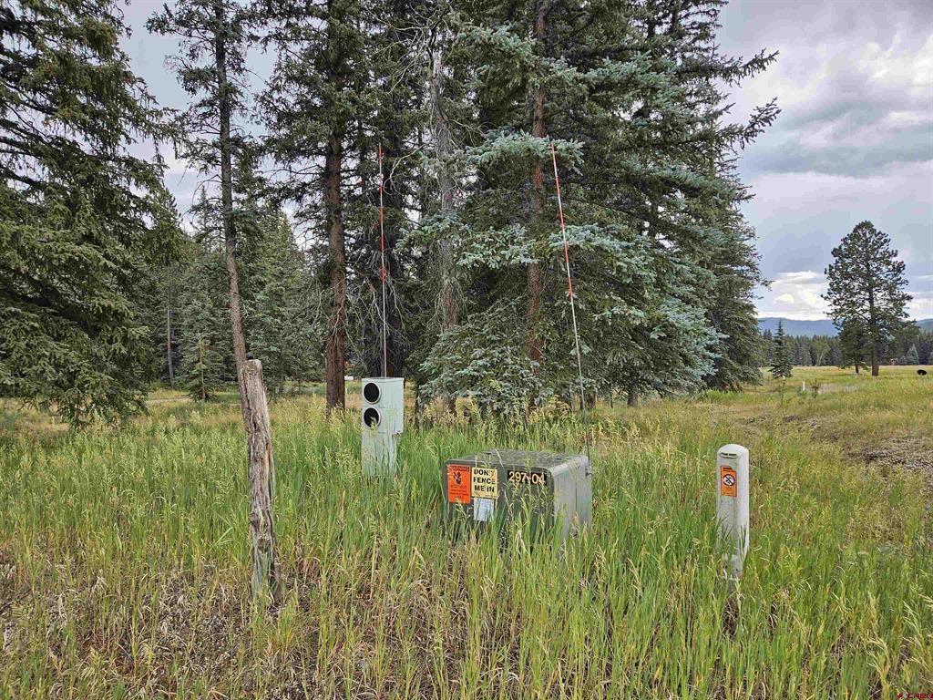 1229 W Vallecito Creek Road Vallecito Lake/bayfield CO 81122