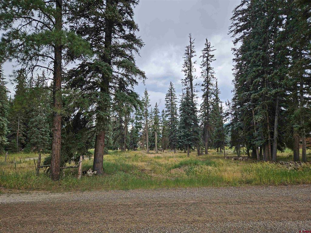 1229 W Vallecito Creek Road Vallecito Lake/bayfield CO 81122