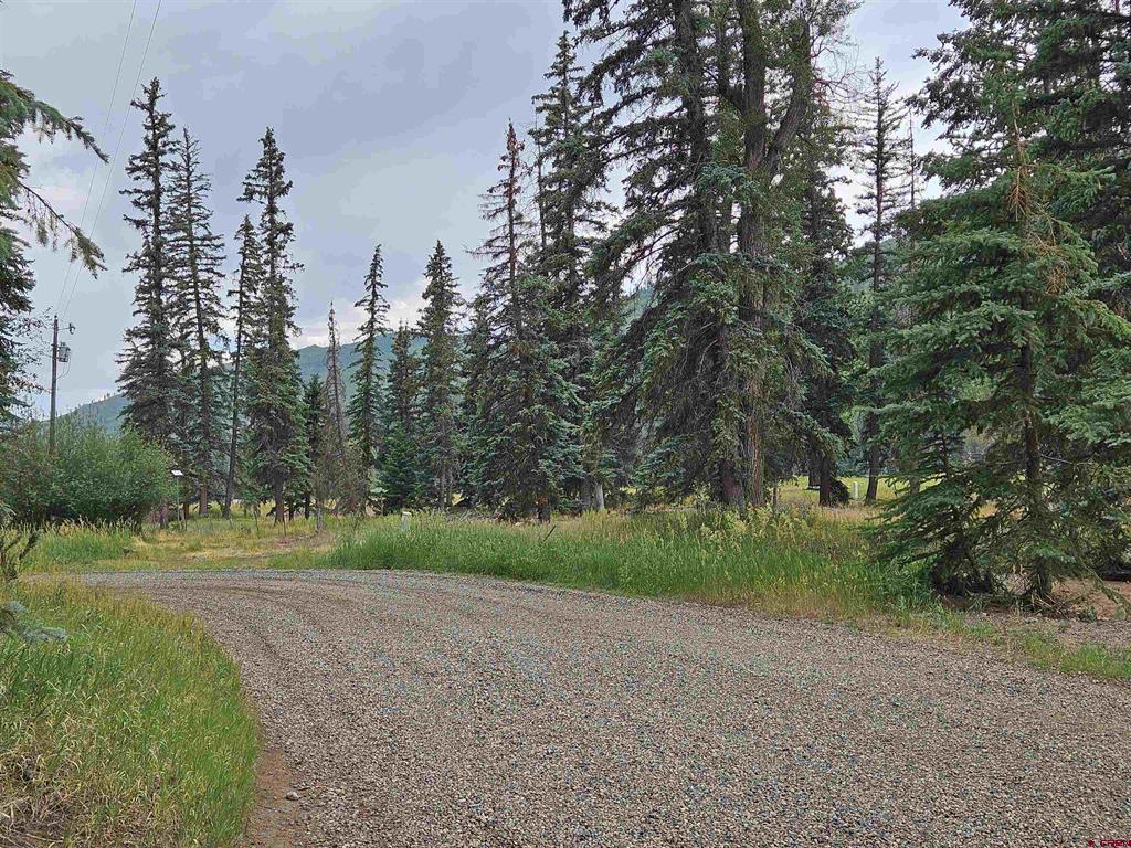 1229 W Vallecito Creek Road Vallecito Lake/bayfield CO 81122