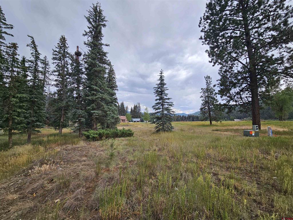 1229 W Vallecito Creek Road Vallecito Lake/bayfield CO 81122