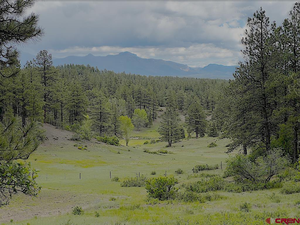 Lot 32 Esmt X Piney Place Pagosa Springs CO 81147