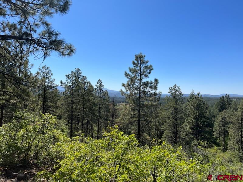 Lot 32 Esmt X Piney Place Pagosa Springs CO 81147