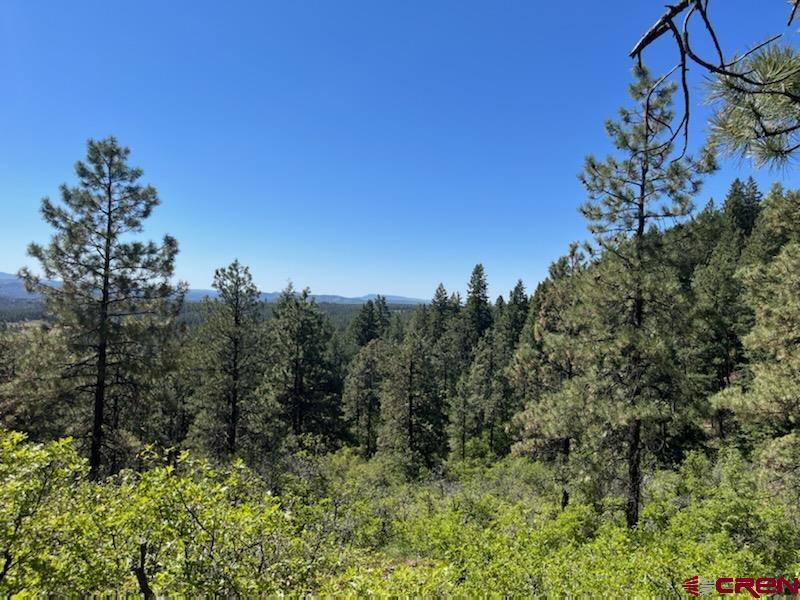 Lot 32 Esmt X Piney Place Pagosa Springs CO 81147