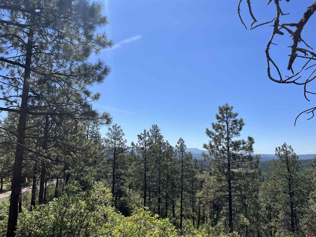 Lot 32 Esmt X Piney Place Pagosa Springs CO 81147