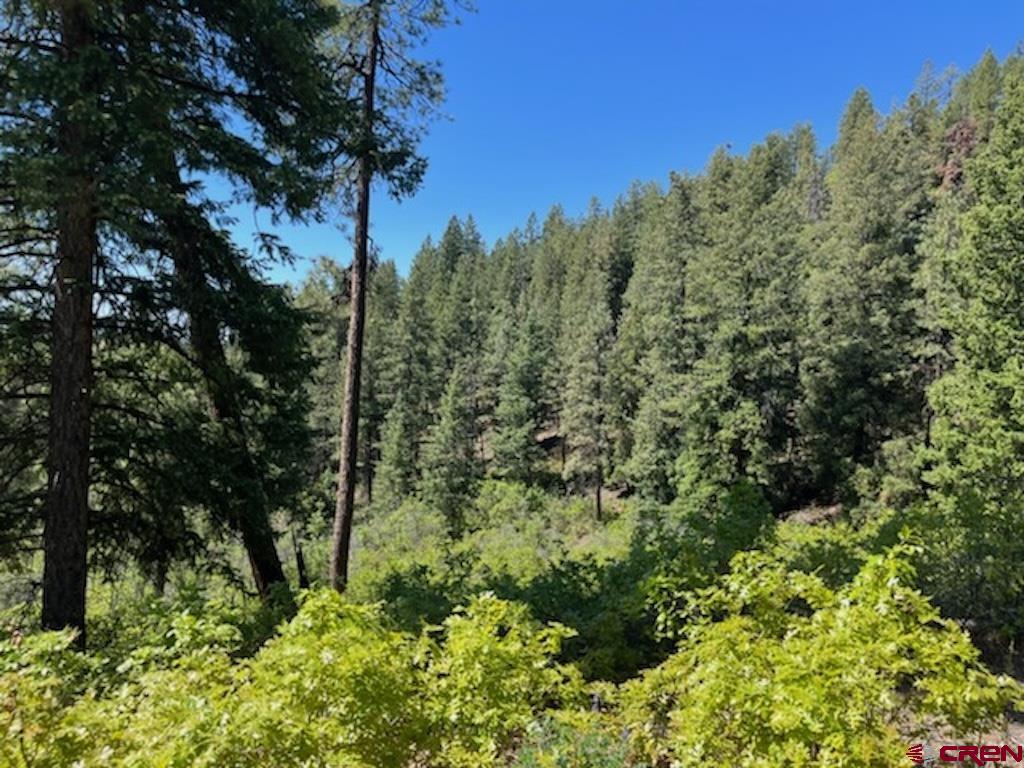 Lot 32 Esmt X Piney Place Pagosa Springs CO 81147