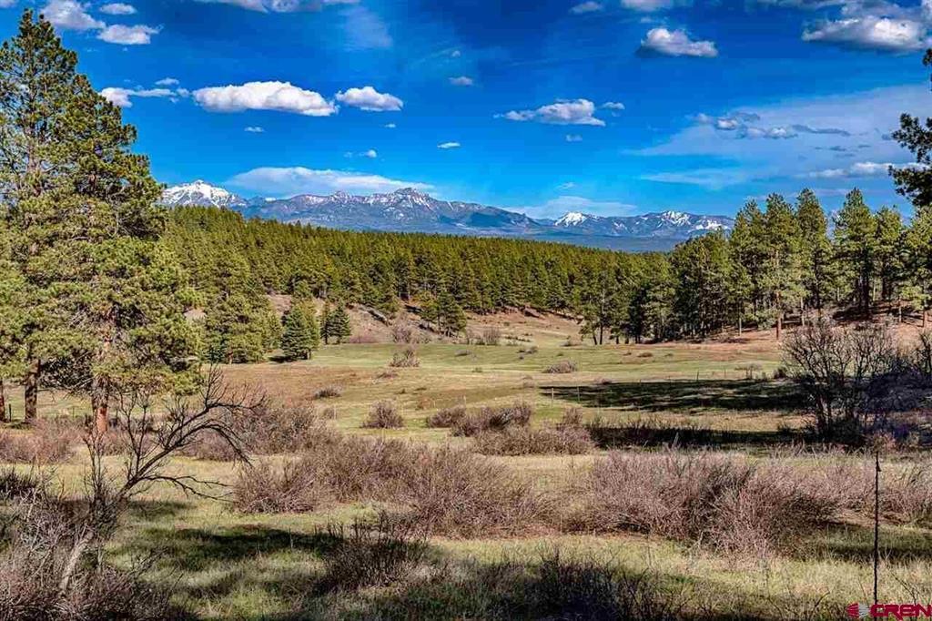 Lot 32 Esmt X Piney Place Pagosa Springs CO 81147
