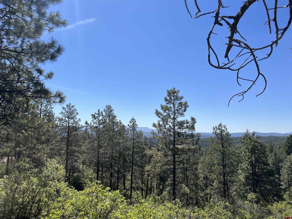 Lot 32 Esmt X Piney Place Pagosa Springs CO 81147