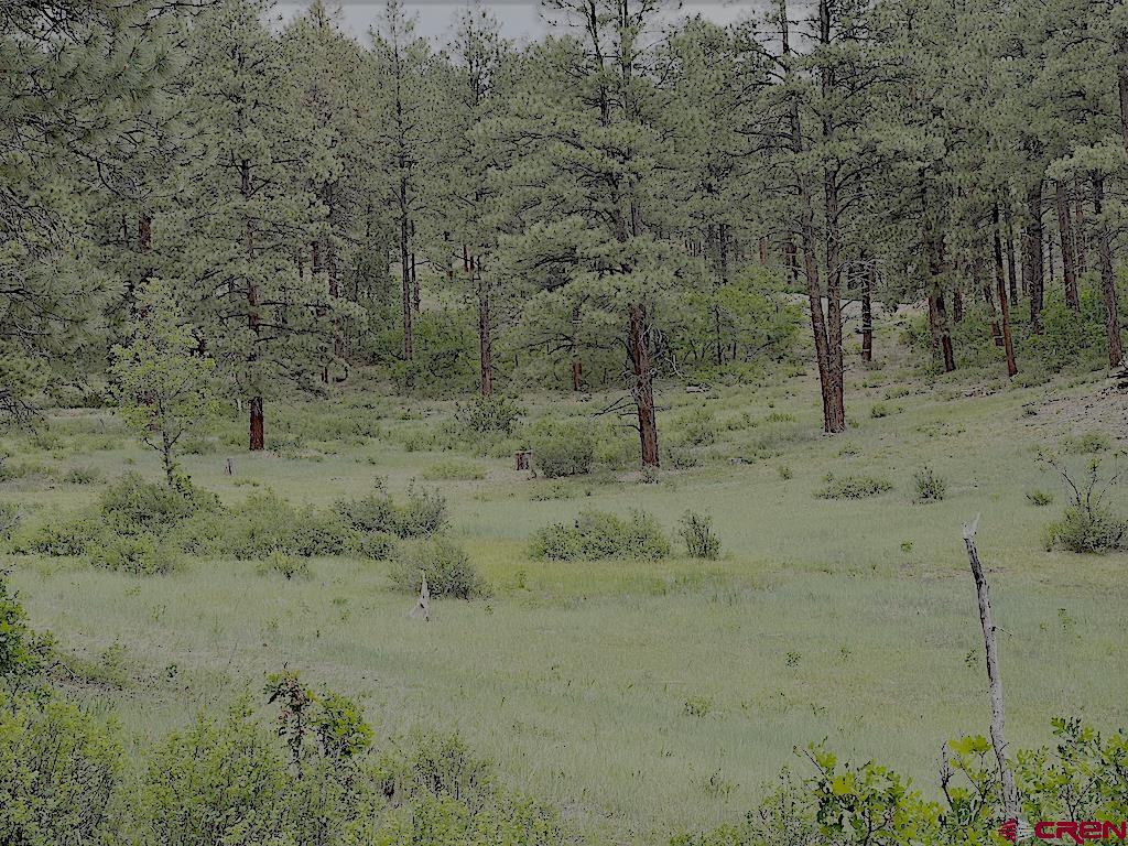Lot 32 Esmt X Piney Place Pagosa Springs CO 81147