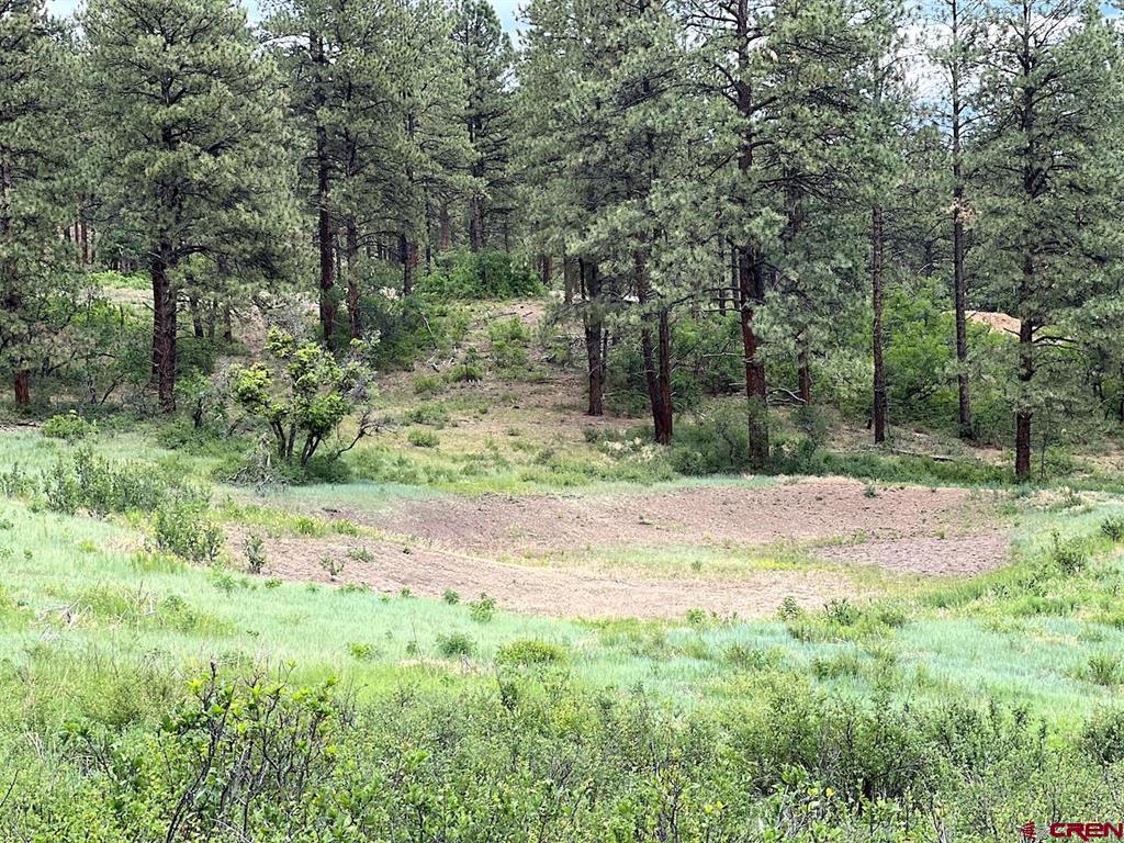Lot 32 Esmt X Piney Place Pagosa Springs CO 81147
