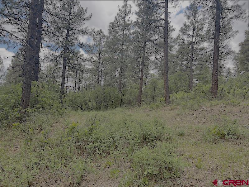 Lot 32 Esmt X Piney Place Pagosa Springs CO 81147