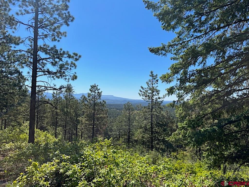 Lot 32 Esmt X Piney Place Pagosa Springs CO 81147