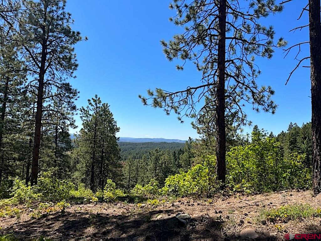 Lot 32 Esmt X Piney Place Pagosa Springs CO 81147