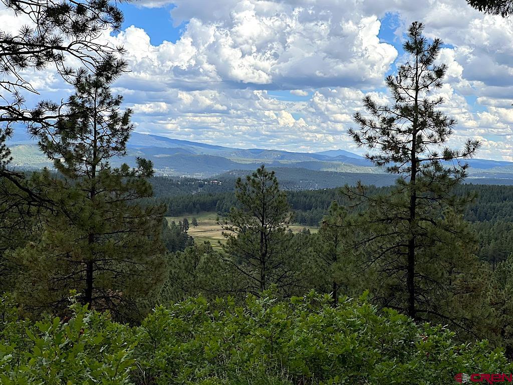 Lot 32 Esmt X Piney Place Pagosa Springs CO 81147