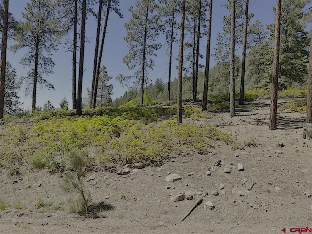 Lot 32 Esmt X Piney Place Pagosa Springs CO 81147