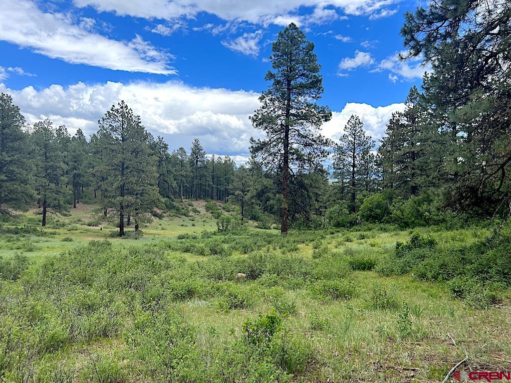 Lot 32 Esmt X Piney Place Pagosa Springs CO 81147