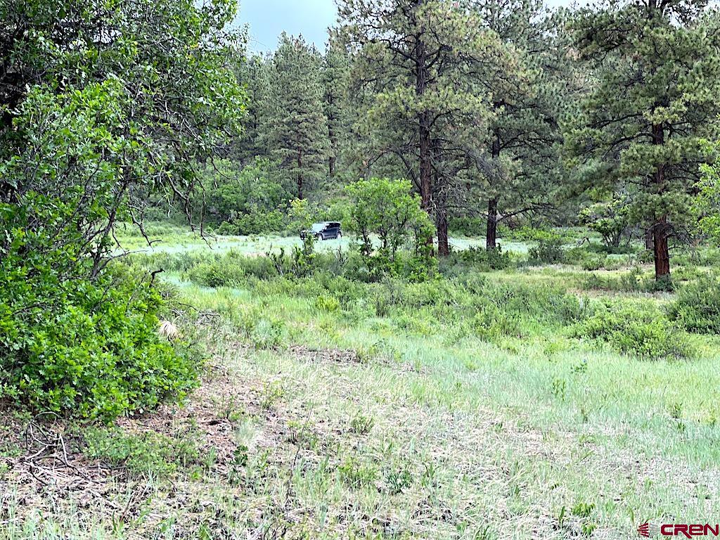 Lot 32 Esmt X Piney Place Pagosa Springs CO 81147