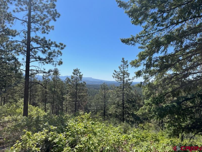 Lot 32 Esmt X Piney Place Pagosa Springs CO 81147