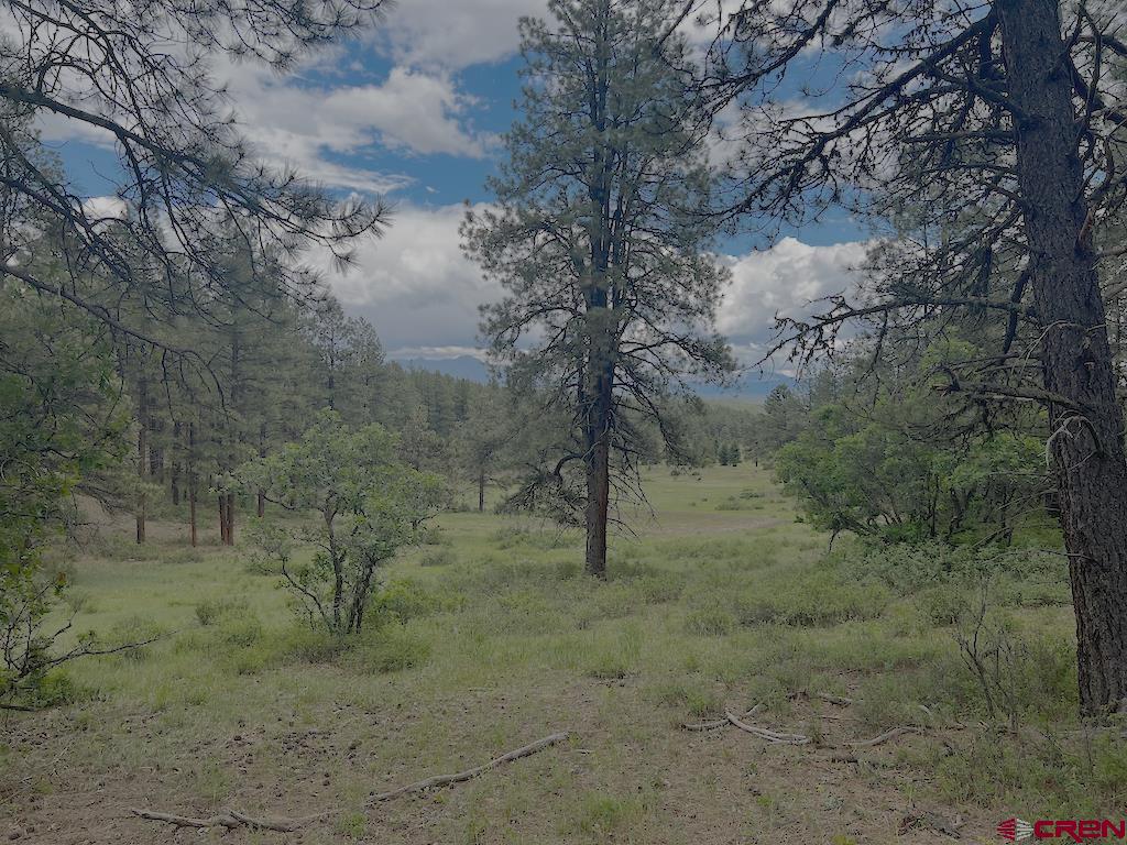 Lot 32 Esmt X Piney Place Pagosa Springs CO 81147