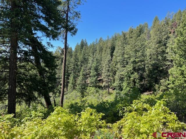 Lot 32 Esmt X Piney Place Pagosa Springs CO 81147
