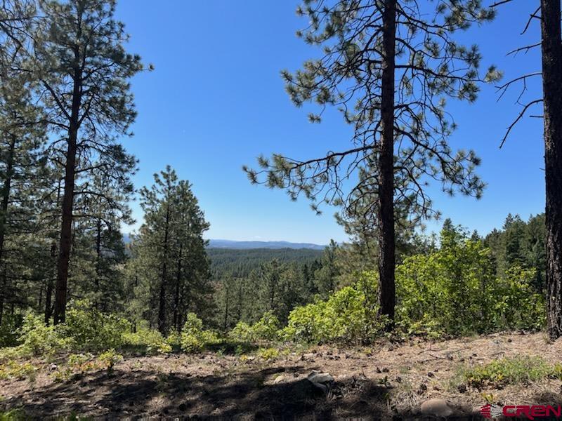 Lot 32 Esmt X Piney Place Pagosa Springs CO 81147