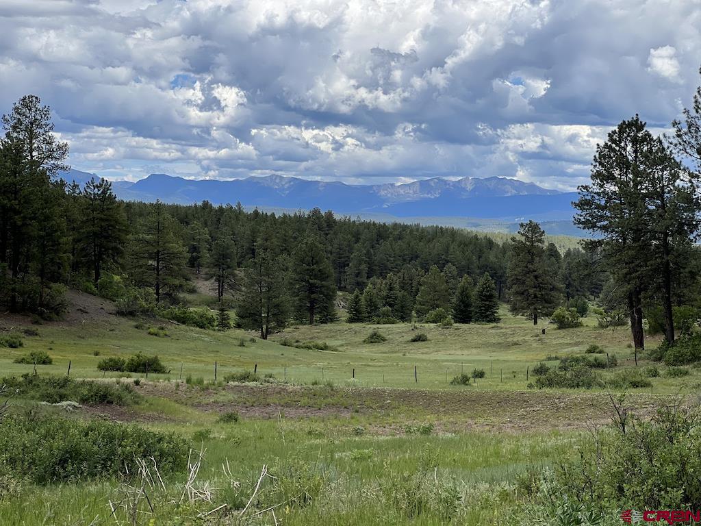 Lot 32 Esmt X Piney Place Pagosa Springs CO 81147