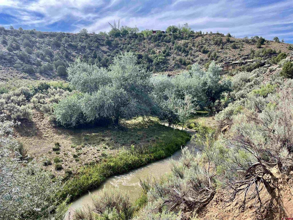 Tract 9 N Broadway Cortez CO 81321