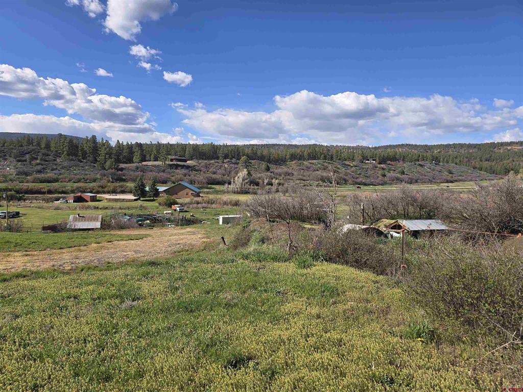 321 River Run Drive Pagosa Springs CO 81147