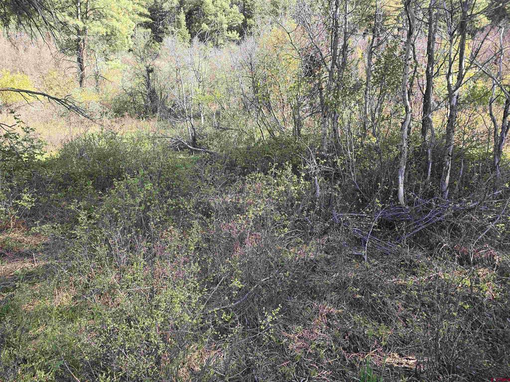 321 River Run Drive Pagosa Springs CO 81147