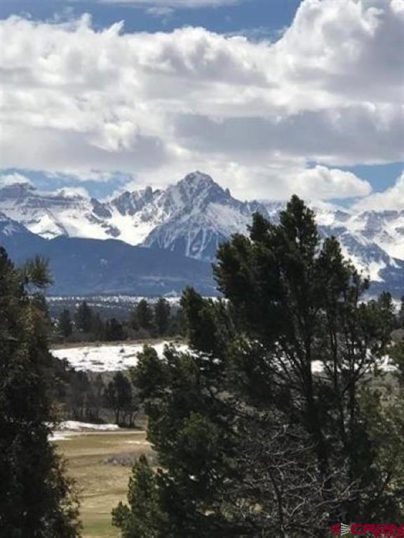 294 Marmot Drive Ridgway CO 81432