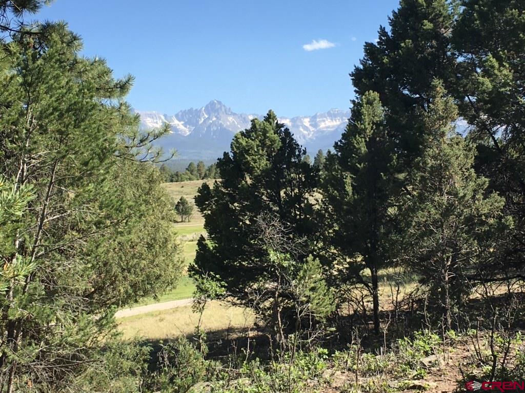 294 Marmot Drive Ridgway CO 81432