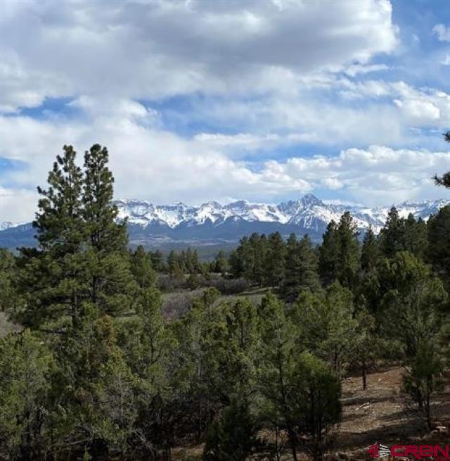 294 Marmot Drive Ridgway CO 81432