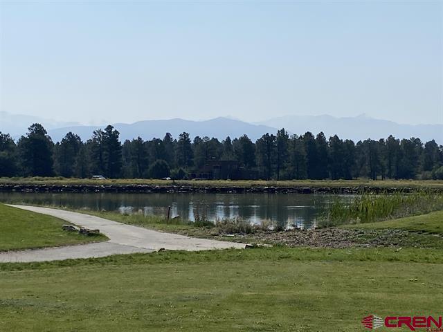 294 Marmot Drive Ridgway CO 81432