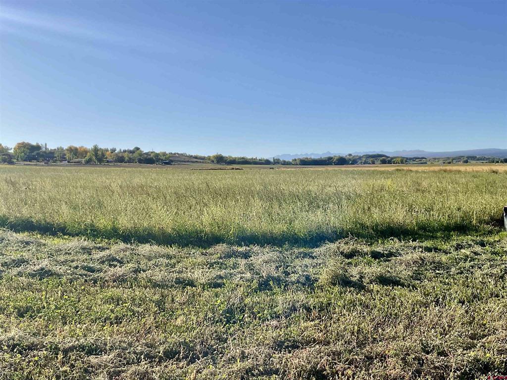 Tbd 5800 Road Montrose CO 81403