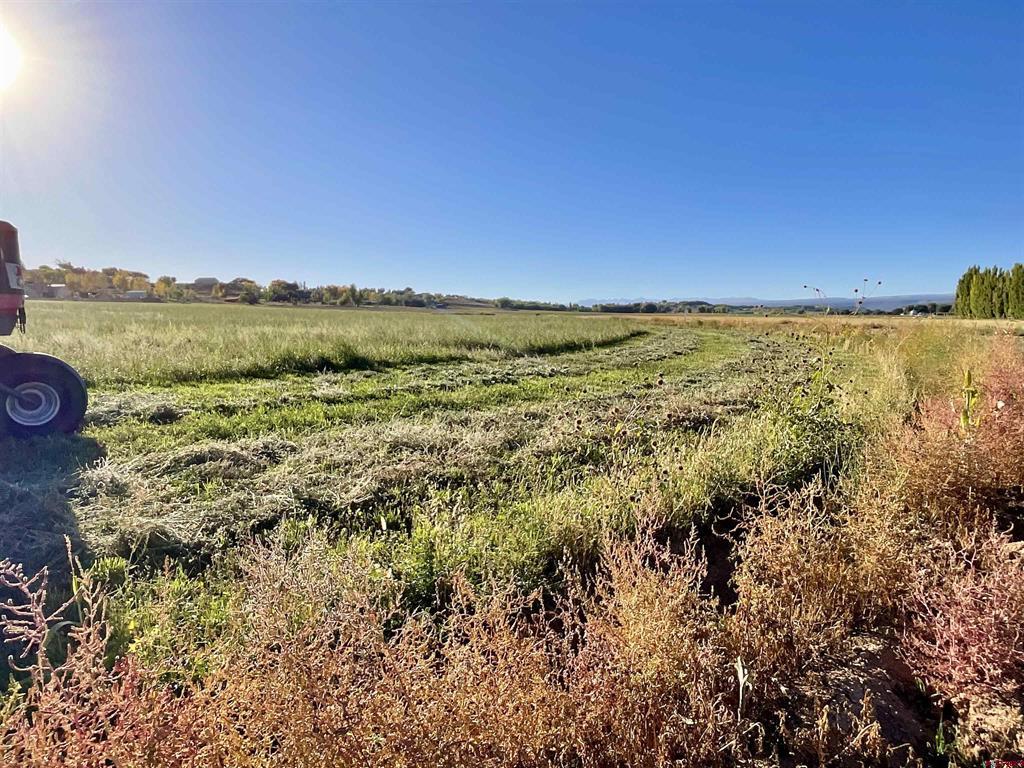 Tbd 5800 Road Montrose CO 81403