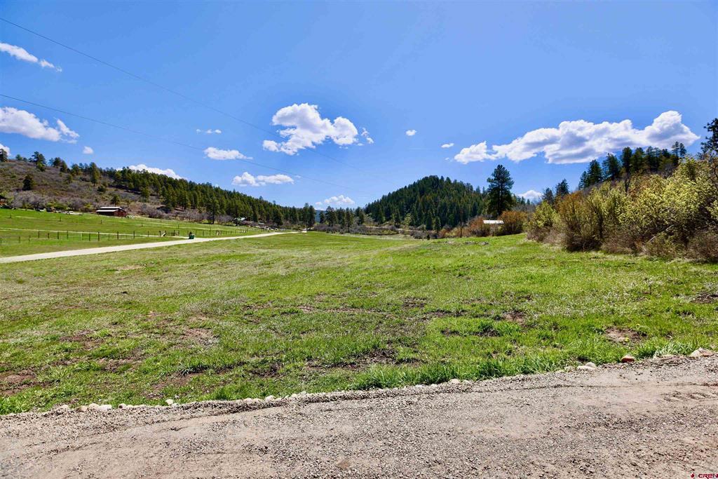 242 Pine Springs Drive Bayfield CO 81122